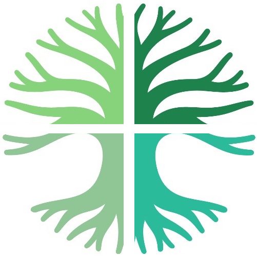 Baroudi Consulting(TM)